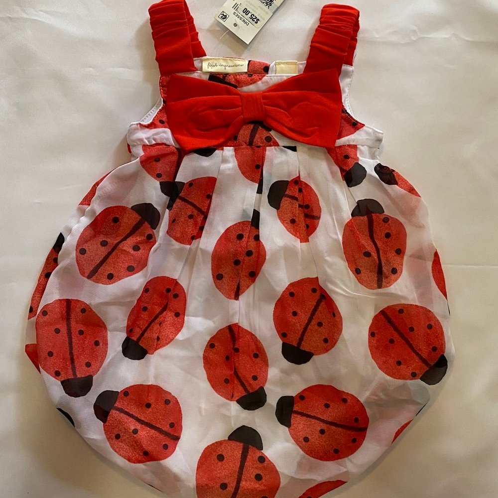 NWT! Adorable Lady Bug Bubble Outfit 3-6M